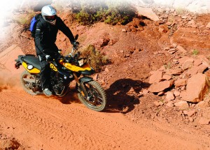 NB_D3_1227 Both tall and short riders (with a slight bar adjustment) can confidently and comfortably ride the F800GS for miles while standing.