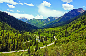 The ride over Independence Pass goes through a stunning valley and some awesome curves.