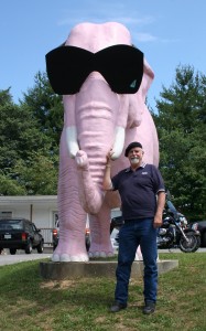 Those Foster-Grant sunglasses are big, as the pink pachyderm stands over 12 feet high.