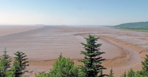 The mud flats of Fundy Bay, New Brunswick, as they begin to fill with the incoming tide.