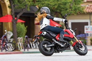 As a taller-than-average rider, the Honda Grom is a bit small for me. But it will be perfect for younger/smaller riders.