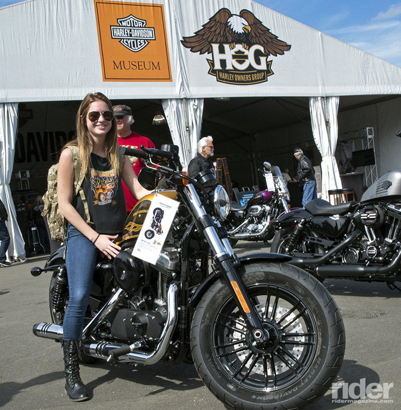 Harley-Davidson at Daytona.