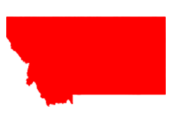State Icon Montana