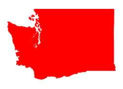 State Icon Washington