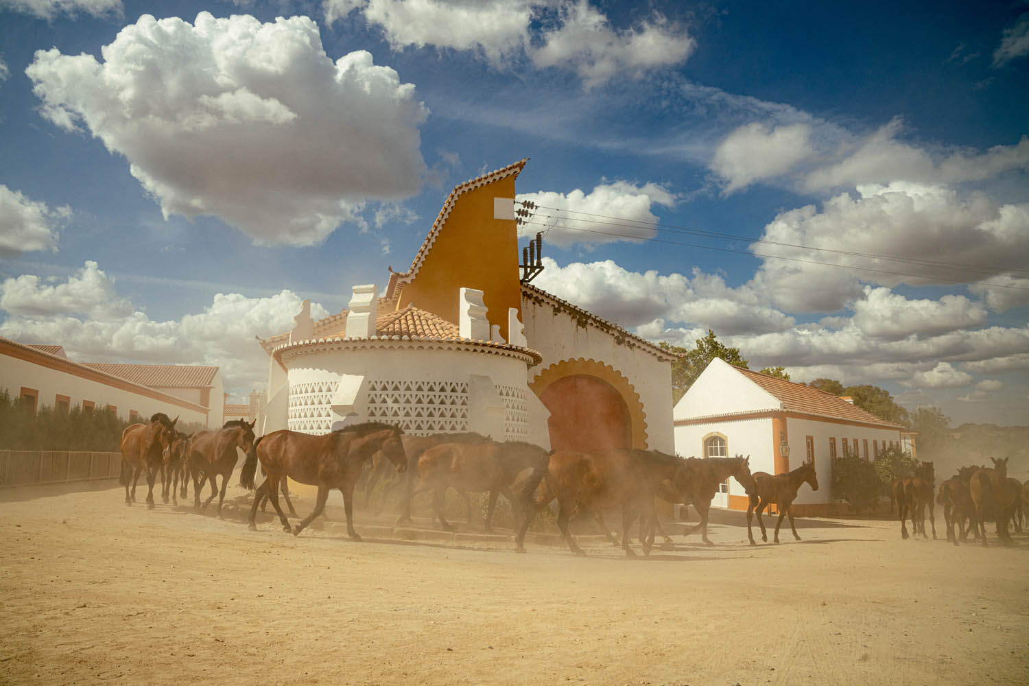 BMW invita i fan della R 18 alla grande fuga