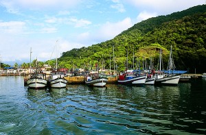 This is the little port near Ubatuba where we took a cruise out to the old prison island of Anchieta.