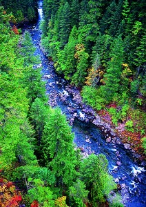 Streams and rivers tumble out of the steep Cascades toward the lowlands.