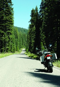 An old logging road makes for an intimate ride—it’s just you and the trees.