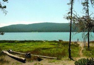 Medicine Lake lies within the central caldera of “The Sleeping Giant.”