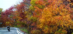 Beautiful fall colors along West Virginia’s Route 55 accompany equally pleasing corners.