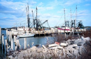 Shrimp boats moored at Mayport, Florida, a small fishing village on the St. Johns River 21⁄2 miles inland from the mouth.