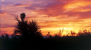 Sunset at Oliver Lee Memorial State Park, NM.