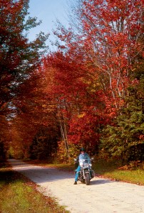 A rider stopping to enjoy the colors of the changing leaves.