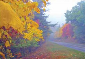 The Blue Ridge Parkway Fall Colors