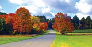 Fall colors glow bright on the Blue Ridge Parkway.