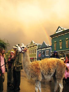 A llama and rainbow in Crested Butte.