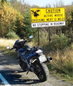 Bike and moose warning sign.