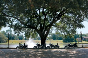 Four bikes at Cane River Lake.