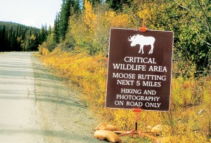 Moos Sign in Alaska