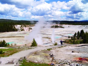 Steam vents, geysers and fumaroles all collaborate  to create the alien landscape  in the Porcelain Basin area of Norris Geyser Basin in Yellowstone Park.