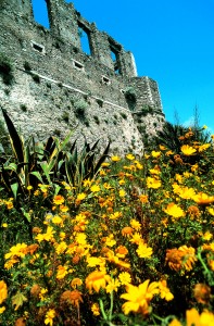 Wildflowers attack the old fort in La Castella, which lost its first battle against the pirate Barbarossa; many inhabitants were taken into slavery.