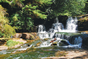 Alsea Falls in Oregon