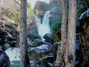 Salmon Creek Waterfall