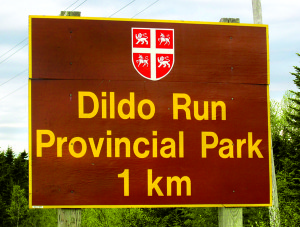 Many tourists return home with a photo of themselves under this sign or the one that says “Welcome to Dildo.” A dildo is a peg that was used before oarlocks.