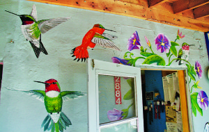 Painted hummingbirds grace a little roadside restaurant.