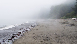 Atmospheric conditions on Strait of Juan De Fuca can be very different from Highway 101, less than 1/2-mile away from the coast.