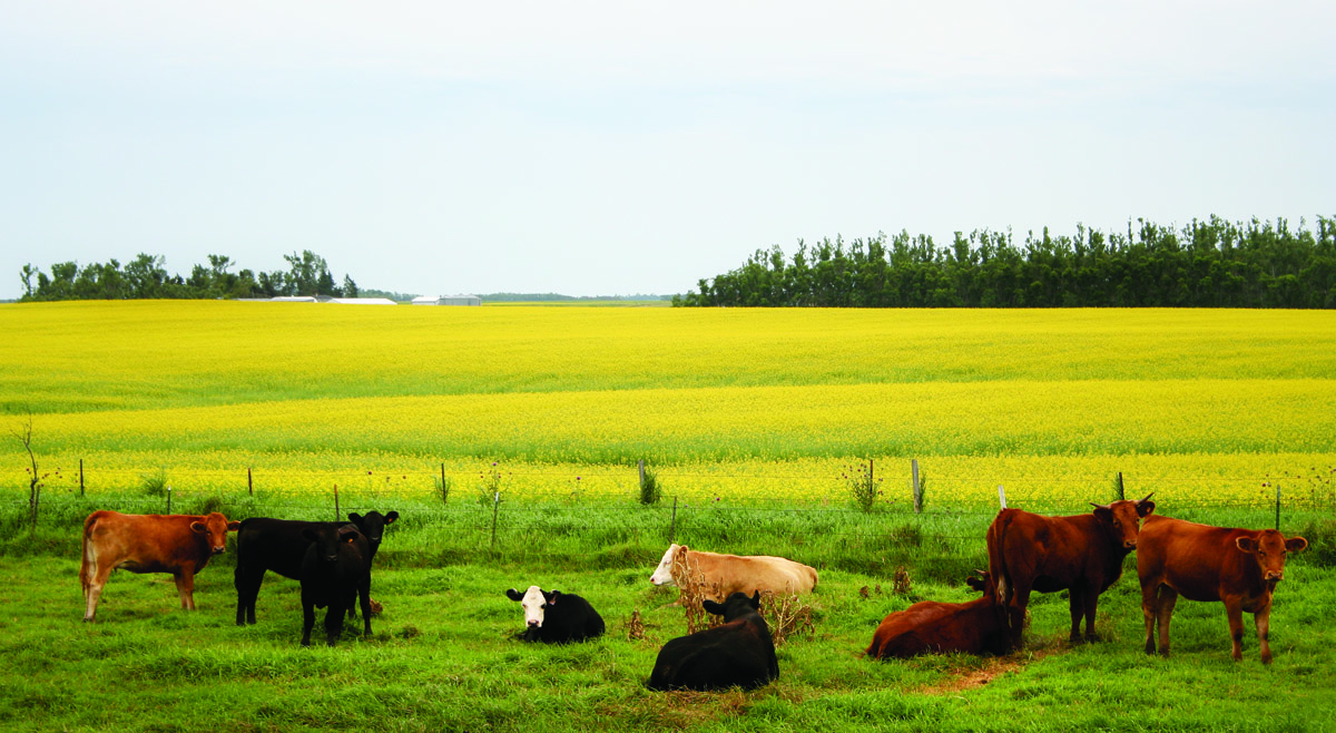 Woodland To Prairie North Dakota Rider Magazine