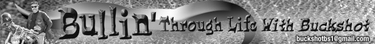 Bullin_Through_Life