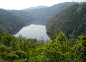 View of Calderwood Lake from the Tail of the Dragon (U.S. 129) overlook.
