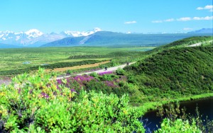 The Alaska Range can be seen for the 136-mile-length of the Denali Highway. It’s about 200 miles from here to the nearest traffic signal.