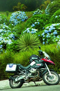 The GS cools against a hydrangea-covered hillside in the rainforest above Angra dos Reis.