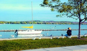 A woman feeds seagulls at the pier near Kershaw Park, north end of Canandaigua Lake.