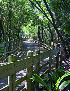 A boardwalk makes it easy to bicycle or walk through the Piñones nature reserve.