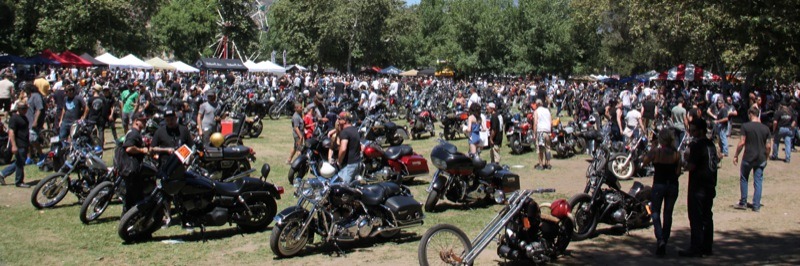 The spread at the 4th annual Born Free Show