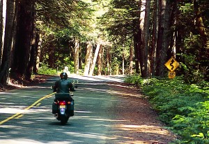 Highway 202 heading up and over the Pacific Coast Range provides some great motorcycle roads.