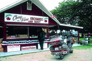 Skip the overpriced restaurant fruit plate. Grand Traverse Bay is orchard country and roadside stands offer fruit that is freshly picked and perfectly ripe.
