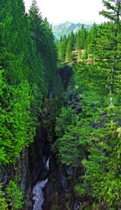 A scenic stop on State Route 7 features a river forming a deep valley into the surrounding Cascade Mountains.