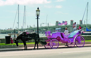 Horse-drawn carriage rides are available by Matanzas Bay and the Bridge of Lions.