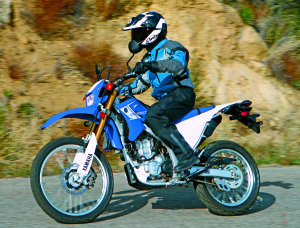 Buy blue to get the top-performing WR250R. Voted most likely to wear knobbies, the Yamaha’s dirt bias pays off big time when the pavement ends.