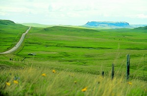 Springtime near the Rockies, when the land west of Lincoln, Montana, rolls green and the wildflowers run riot.