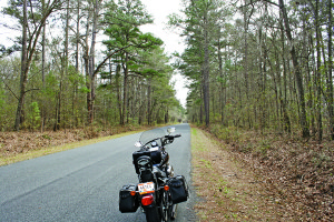 On a back road in South Carolina’s Lowcountry.