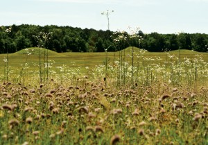 The Pharr Mounds were built in the second century. Archeologists continue to study the site.