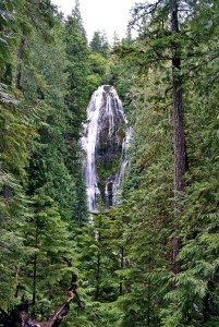 Take a 1½ mile walk to reach Lower Proxy Falls, which is quite a sight with its dazzling 226-foot lacy fall, a really large bridal veil.