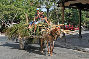 The pace of life in Granada, Nicaragua, is pleasantly slow, as this mode of transport is very common in that city.