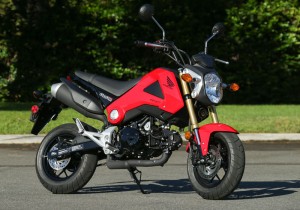 The Honda Grom is compact but it will fit a wide variety of riders.
