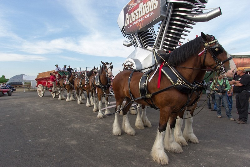 The Crossroads at the Buffalo Chip